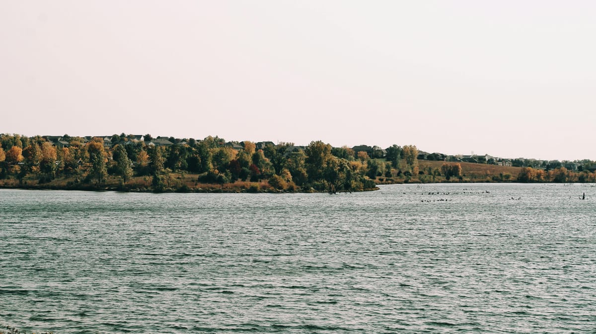 Our Contributing Author Is Back. His Work Begins Today